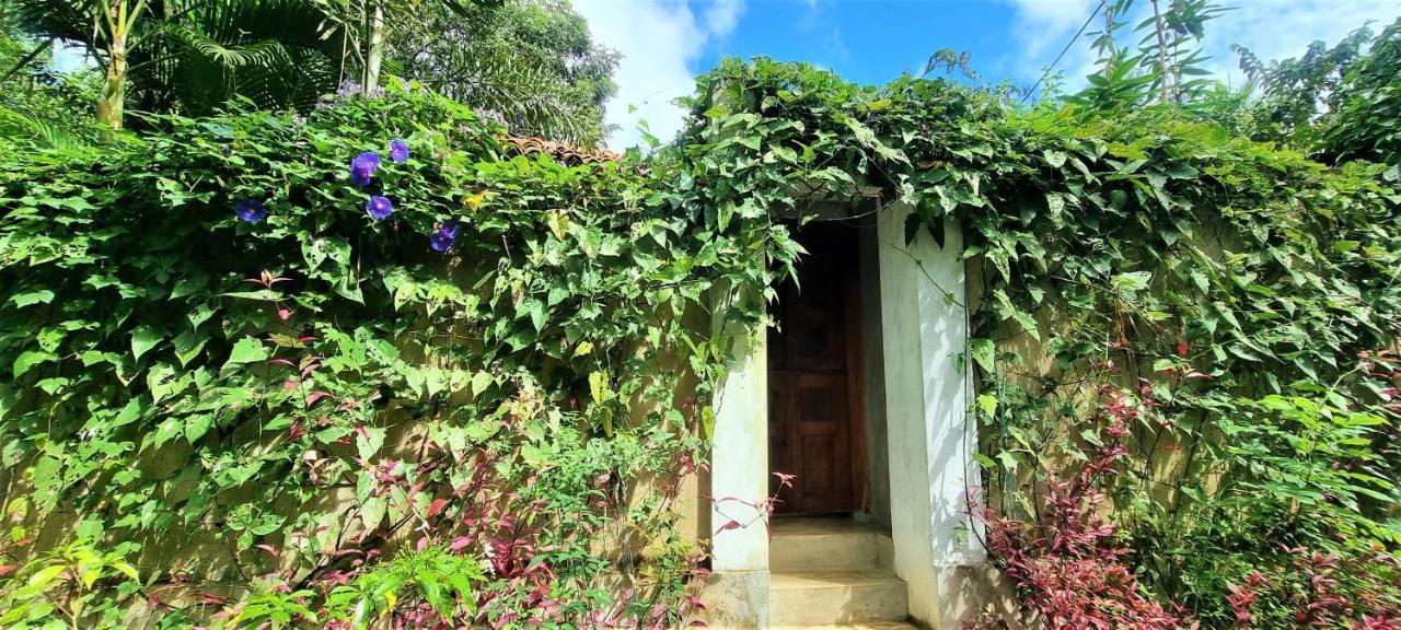 Sand Dollar House, Hiriketiya 迪克韦勒 外观 照片